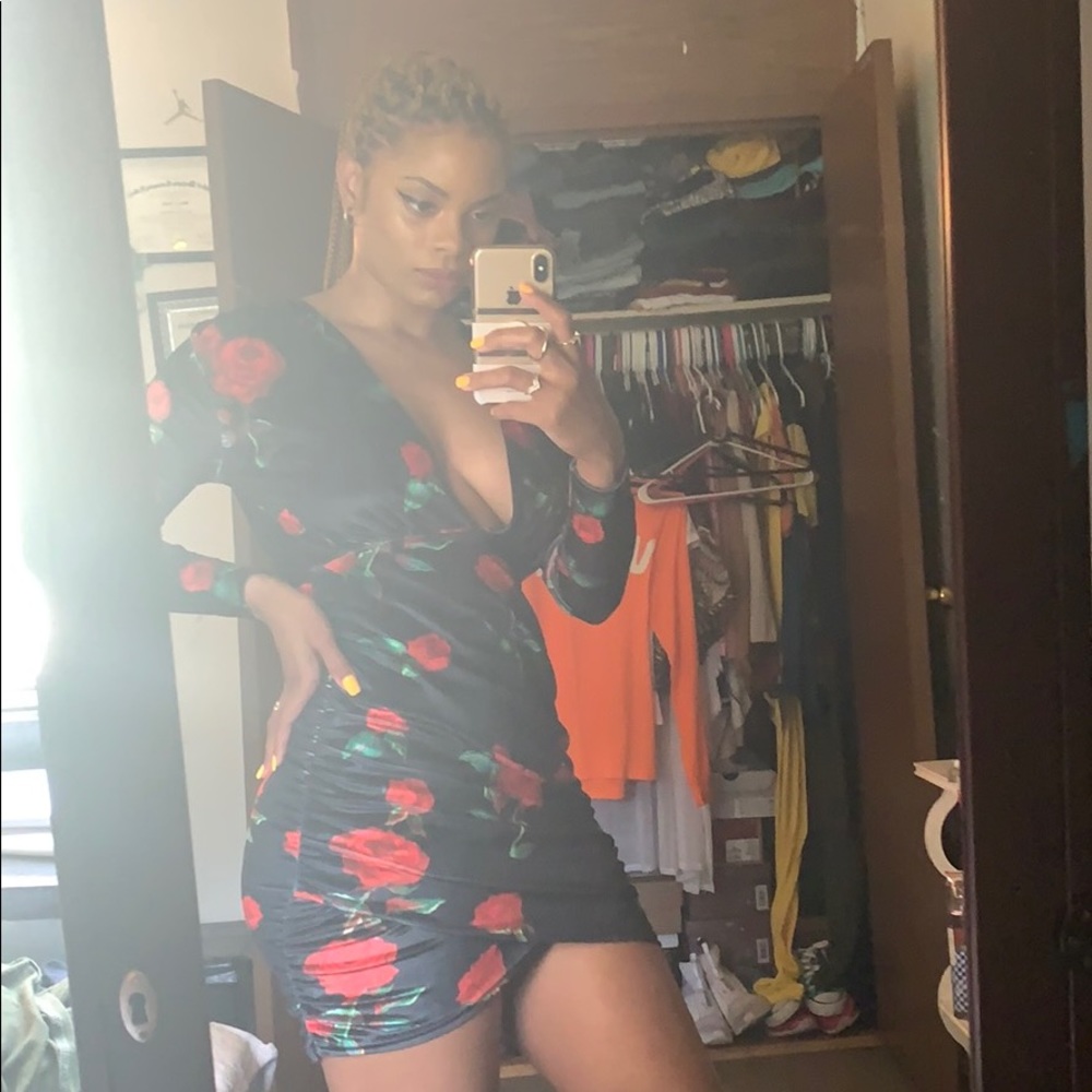 Velvet Rose Pattern Dress